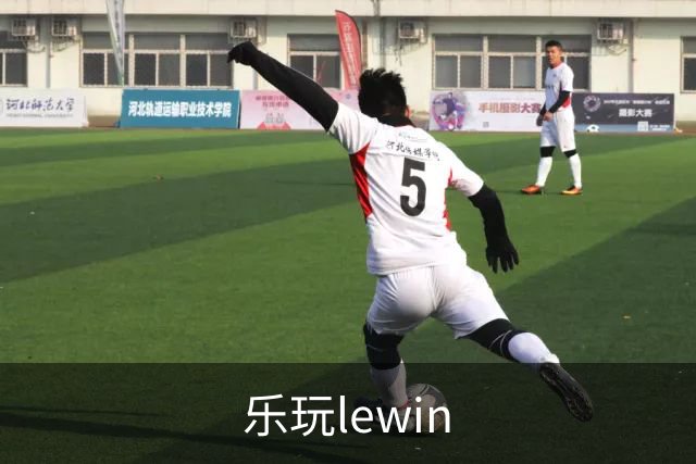 乐玩lewin